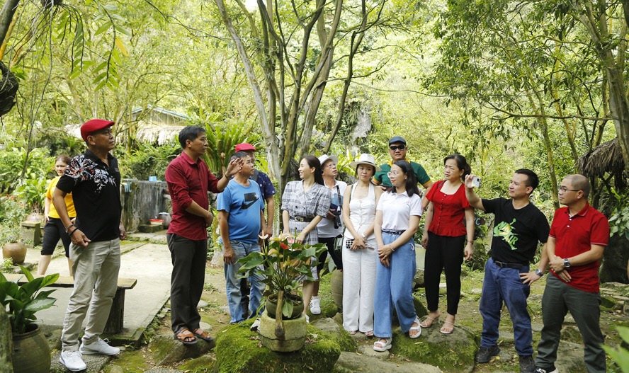 Du khách nghe giới thiệu về vườn quýt Hang Hú